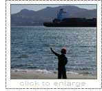 Harington Point Motels; Otago Peninsula, Dunedin, New Zealand