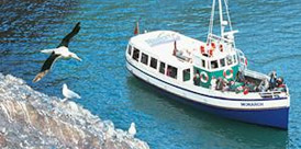 Monarch Wildlife Cruises Otago